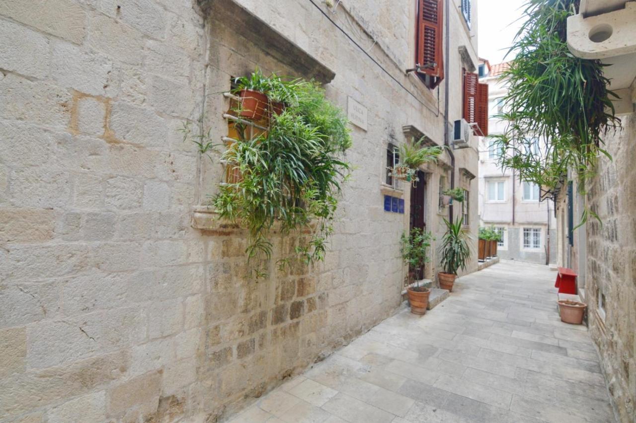 Placeta